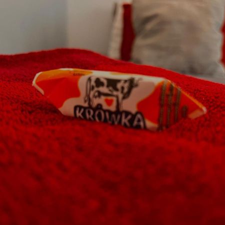 Petit 1 Bed Room Condo Warszawa Center Екстериор снимка